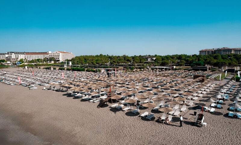 The X Belek